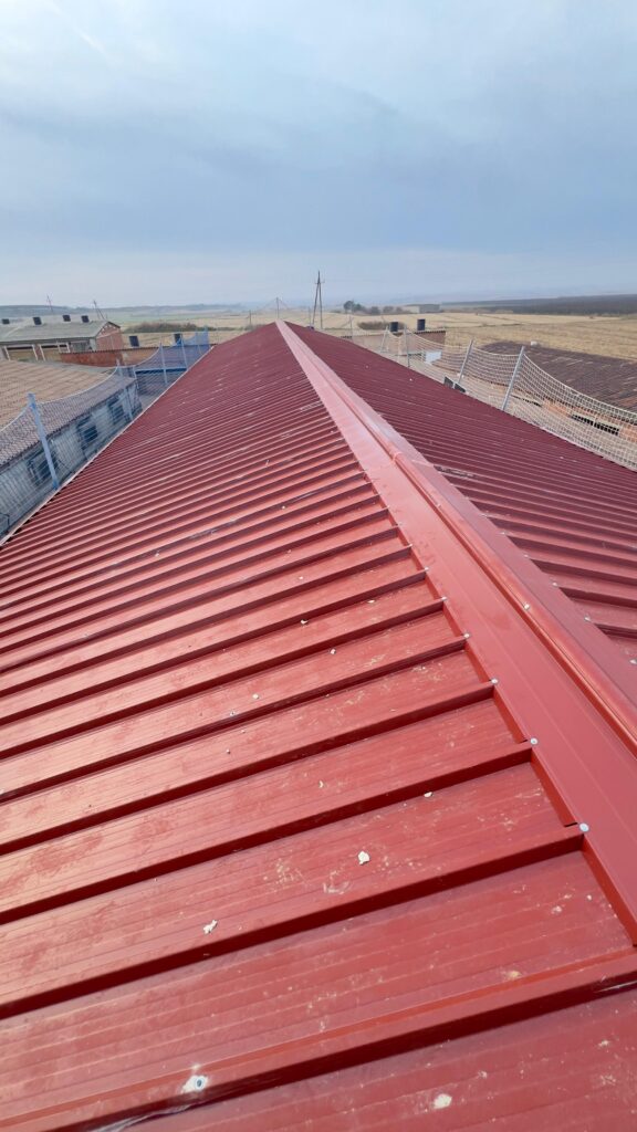 panel sandwich de cubierta